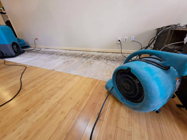 Professional Water Damage Repair technician working in Riverdale, UT